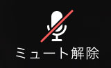 Zoom-音声がオフ